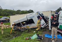 Caminhão-baú colide com van e deixa 6 mortos na BR-116/PR Acidente entre caminhão-baú e van deixa 6 mortos na BR-116, no Paraná