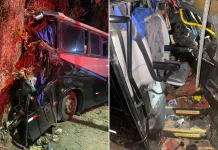 VÍDEO: Motorista de ônibus morre em choque contra árvore na BR-262/ES VÍDEO: Motorista de ônibus morre em choque contra árvore na BR-262/ES