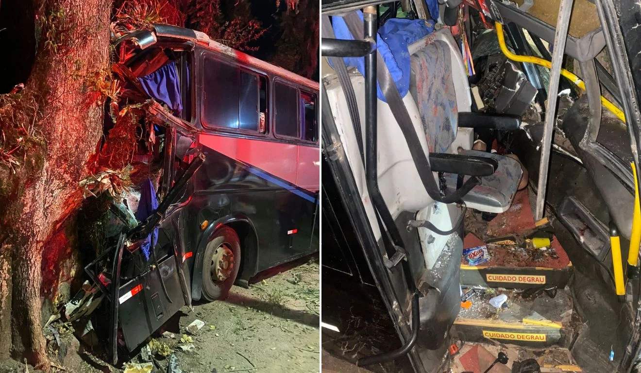 VÍDEO: Motorista de ônibus morre em choque contra árvore na BR-262/ES