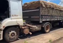 Caminhoneiro é flagrado na BR-153/GO dirigindo há quase 24 horas sob efeito de “rebite” Caminhoneiro é flagrado na BR-153/GO dirigindo há quase 24 horas sob efeito de “rebite”