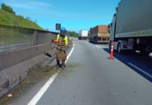 Via Dutra recebe manutenção em trecho diversos, neste sábado (14) e domingo (15) Via Dutra recebe manutenção em trecho diversos, neste sábado (14) e domingo (15)