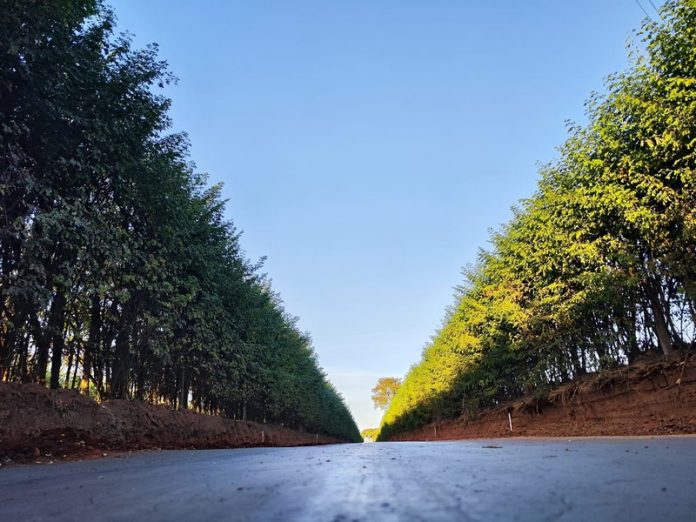 Estradas de Campinas, Bragança Paulista, Joanópolis e Monte Alegre do Sul recebem melhorias