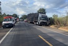 Acidente na BR-020/DF entre van, picape e carreta deixa 8 mortos e 8 feridos Acidente na BR-020/DF entre van, carro e caminhão deixa 8 mortos e 8 feridos