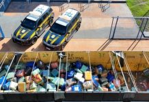 Caminhoneiro é preso em flagrante na BR-163/MS por tráfico de drogas Caminhoneiro é preso em flagrante na BR-163/MS por tráfico de drogas
