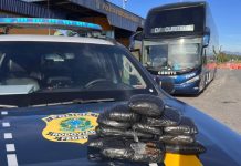 Mulher é presa dentro de ônibus da Cometa, na BR-116/SP, por tráfico de drogas Mulher é presa dentro de ônibus da Cometa, na BR-116/SP, por tráfico de drogas