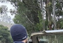 PRF prende homem por saque de carga após tombamento de carreta na BR-381, em João Monlevade (MG)