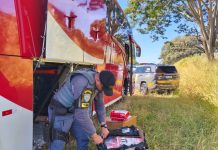 Remédios para emagrecer, anabolizantes e eletrônicos são apreendidos em ônibus na SP-310 Remédios para emagrecer, anabolizantes e eletrônicos são apreendidos em ônibus na SP-310
