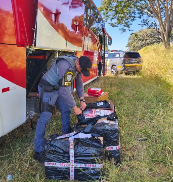 Remédios para emagrecer, anabolizantes e eletrônicos são apreendidos em ônibus na SP-310