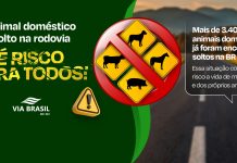 Concessionária faz campanha de conscientização sobre animais soltos na BR-163/MT Concessionária faz campanha de conscientização sobre animais soltos na BR-163/MT