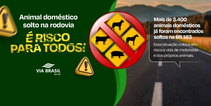 Concessionária faz campanha de conscientização sobre animais soltos na BR-163/MT