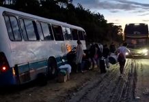 Colisão de caminhão-boiadeiro e ônibus na BR-010/PA deixa 1 homem morto e 3 atletas feridos Colisão de caminhão-boiadeiro e ônibus na BR-010/PA deixa 1 homem morto e 3 atletas feridos