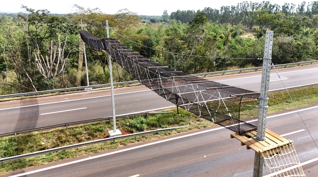 ViaPaulista implanta passagem de fauna aérea na SP-255, em Guatapará
