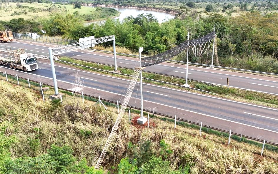 ViaPaulista implanta passagem de fauna aérea na SP-255, em Guatapará
