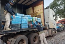 Caminhoneiro drogado é preso na BR-163/PR com quase 2 toneladas de maconha