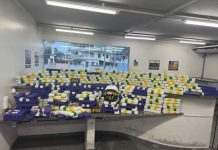 Caminhoneiro é detido na BR-101/RJ, em Campos dos Goytacazes, por tráfico de drogas Caminhoneiro é detido na BR-101/RJ, em Campos dos Goytacazes, por tráfico de drogas