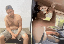 Além de bêbado, caminhoneiro que atropelou e matou estudante na SP-193 estava drogado Além de bêbado, caminhoneiro que atropelou e matou estudante na SP-193 estava drogado