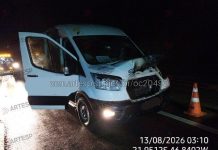 Van atropela bovino na SP-344 e deixa um ferido, em São João da Boa Vista
