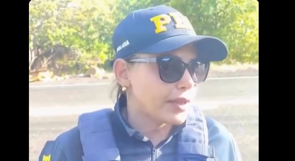 Caminhoneiro e motorista de ônibus morrem em colisão na BR-316/MA, em Caxias