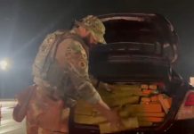 Caminhão-guincho transportava carro quebrado com meia tonelada de maconha na BR 101/SC