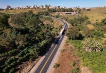 Poda de árvores requer atenção redobrada dos motoristas na BR-146, em Guaxupé (MG)