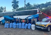 VÍDEO: Passageira boliviana é presa com drogas em ônibus na Raposo Tavares, em Álvares Machado (SP)