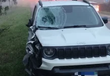 Irmãos morrem atropelados por utilitário em frente à residência na BR-470/SC, em Pouso Redondo