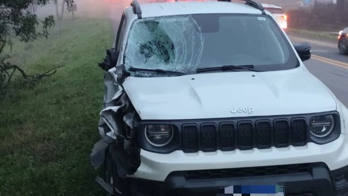 Irmãos morrem atropelados por utilitário em frente à residência na BR-470/SC, em Pouso Redondo