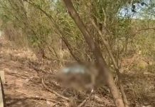 VÍDEO: Casal morre em acidente com motocicleta na BR-060/GO, em Guapó