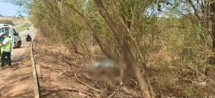 VÍDEO: Casal morre em acidente com motocicleta na BR-060/GO, em Guapó VÍDEO: Casal morre em acidente com motocicleta na BR-060/GO, em Guapó