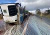Carreta transportando leite pega fogo na GO-210 mas caminhoneiro sai ileso, em Caldas Novas Carreta transportando leite pega fogo na GO-210 mas caminhoneiro sai ileso, em Caldas Novas