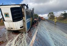 Carreta transportando leite pega fogo na GO-210 mas caminhoneiro sai ileso, em Caldas Novas Carreta transportando leite pega fogo na GO-210 mas caminhoneiro sai ileso, em Caldas Novas