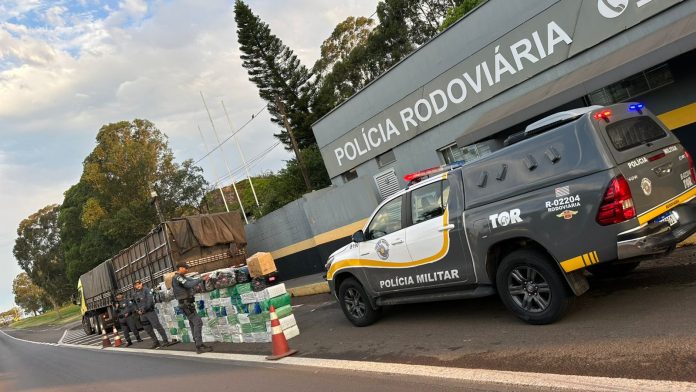 Caminhoneiro é preso na Rodovia Assis Chateaubriand (SP-425) com quase 3 toneladas de maconha, em Pirapozinho (SP). Caminhoneiro é preso na Rodovia Assis Chateaubriand (SP-425) com quase 3 toneladas de maconha, em Pirapozinho (SP).