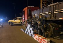 Polícia Rodoviária de SP apreende 246 kg de drogas em carreta na SP-613, em Rosana