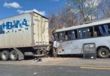 Micro-ônibus choca contra carreta-baú na BR-251/MG e deixa 10 feridos, em Francisco Sá Micro-ônibus choca contra carreta-baú na BR-251/MG e deixa 10 feridos, em Francisco Sá