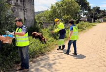 Concessionária do litoral paulista identifica e cataloga animais de grande porte na SP-055