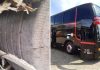 Após acidente que matou seis, fiscalização retém cinco ônibus com romeiros