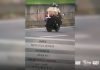 Motoqueiro “voando baixo” a 247km/h é flagrado na SP-461, em Birigui Motoqueiro "voando baixo" a 247km/h é flagrado na SP-461, em Birigui